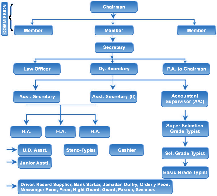 Organisation Structure